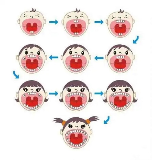 儿童换牙顺序图及注意事项 恒牙只有28颗正常吗？