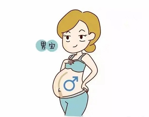 10秒测出怀男孩和女孩的方法